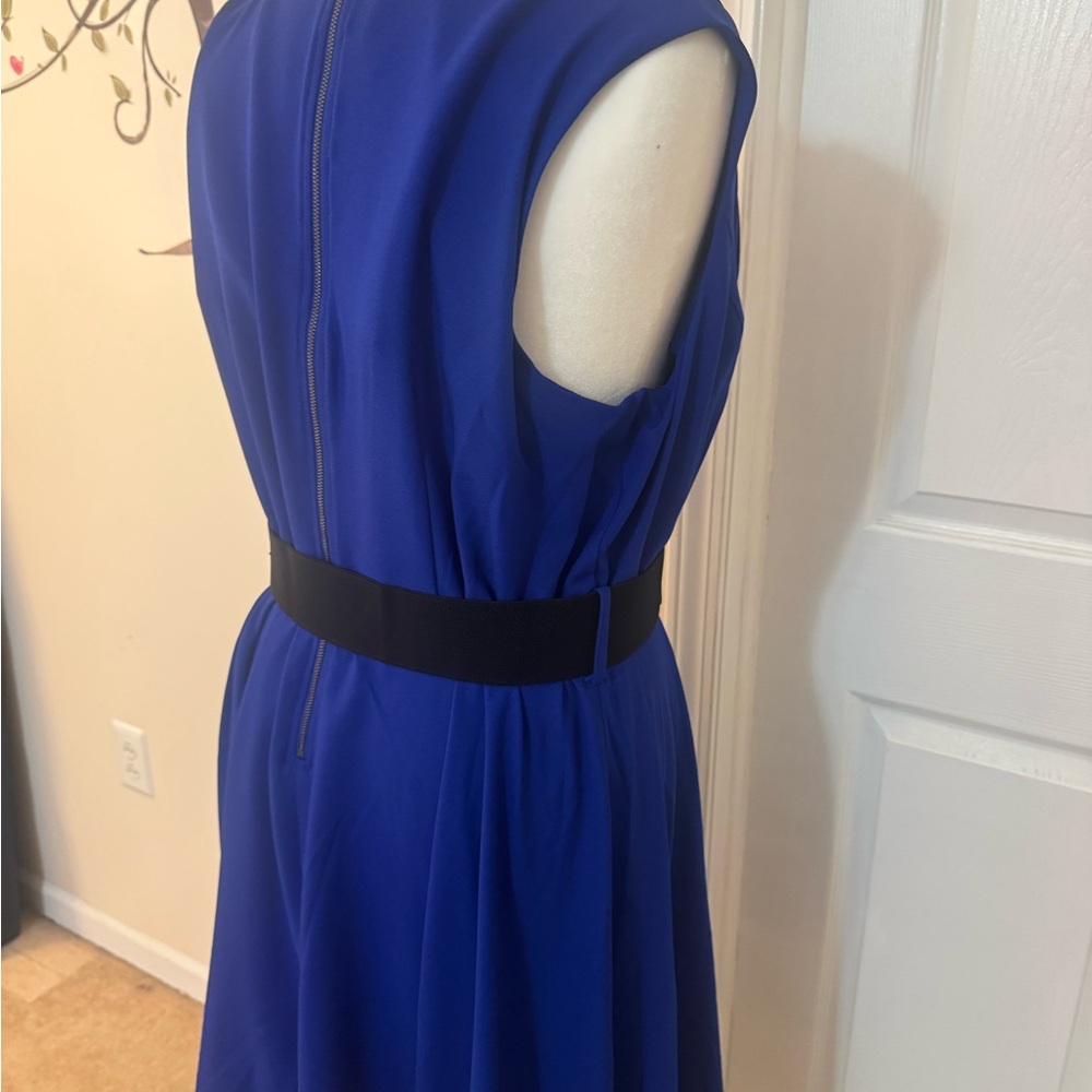 City Chic Royal Blue Belted Midi Dress - Picture 6 of 7